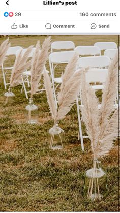 there are many white chairs in the grass and one is decorated with pamolite