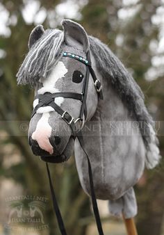 a gray horse with a black bridle on it's head