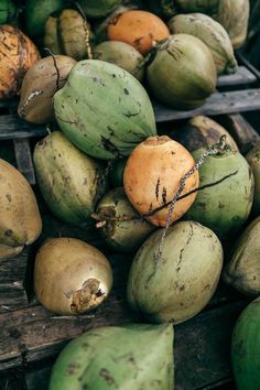 many coconuts are stacked on top of each other