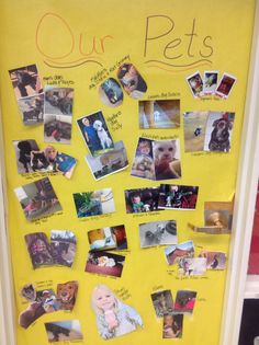 a bulletin board with pictures and words on it that says our pets written in cursive writing