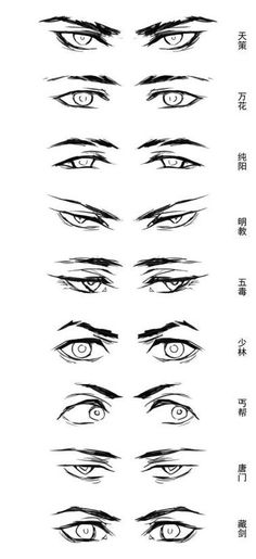 an image of different types of eyes with chinese characters in the bottom left hand corner