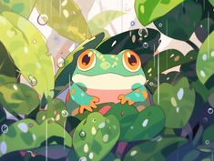 a frog sitting on top of a green leaf covered tree in the rain with drops of water