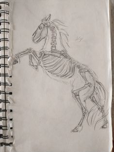 a drawing of a horse with skeleton on it's back, in a notebook