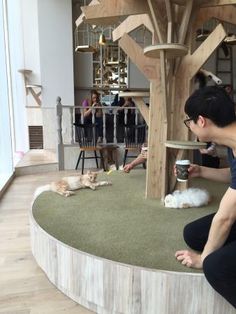 a woman sitting on the floor petting a cat in front of a wooden structure