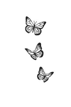 three butterflies flying in the air on a white background, one is drawn with black ink