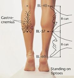 Bone Structure, 5 Elements, Acupuncture Points, Acupressure Points, Pressure Points, Reflexology, Acupressure, Tai Chi