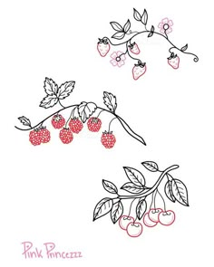 a drawing of cherries on a branch with leaves and berries drawn by ink princess