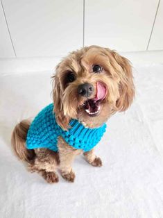 a small dog wearing a blue sweater with its tongue out and it's mouth open