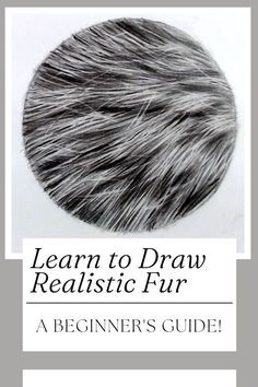 the book cover for learn to draw realistic fur, with an image of a circle