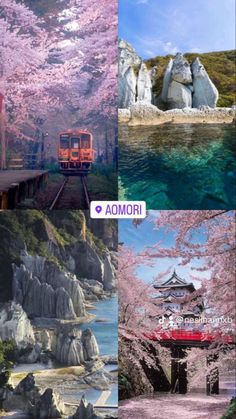 the four images show different scenerys and their respective color scheme, including cherry blossoms