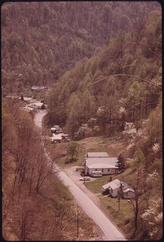 an aerial view of a small village in the woods