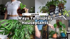 there are many different types of houseplants in this photo and the words unique ways to display them