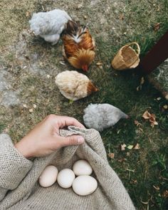 Manifesting Future, Hannah Core, Farm Aesthetic, Manifesting 2024, Cottagecore Vibes, Future Farms, Farm Lifestyle, Apricot Lane