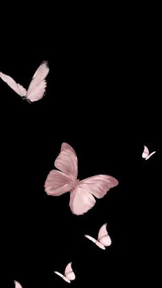 several pink butterflies flying in the dark