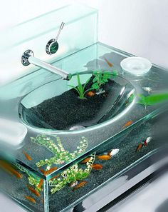 a fish tank filled with water and plants in it's bottom half, sitting on top of a counter