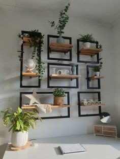 some shelves with plants and books on them