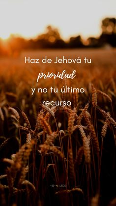 the sun is setting over a field with some tall grass in front of it and an image that says, haz de jehova tu preordad y'u no tu ul ut ullimo recurs