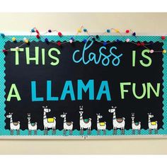 this class is a llama fun bulletin board