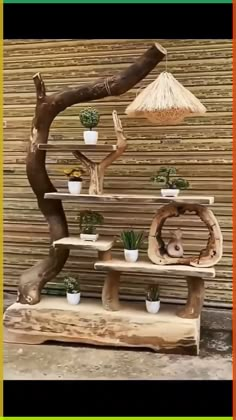 a wooden shelf with potted plants on it