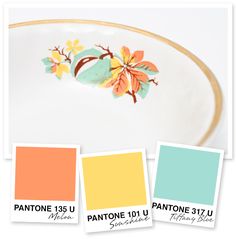 pantone's color swatches for the pantone 101 u spring / summer collection