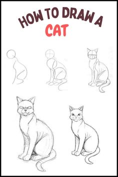 an image of how to draw a cat with different angles and colors on it's face