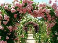 an archway covered in pink flowers and greenery