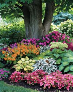 the colorful flowers are blooming all around the tree in the garden, and it is hard to tell what color they are