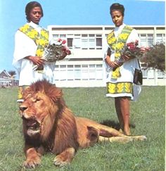 two men standing next to a lion on top of a lush green field in front of a building