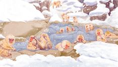 a group of monkeys sitting in the snow by a pond with ducks and other animals