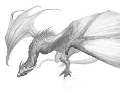 a black and white drawing of a dragon