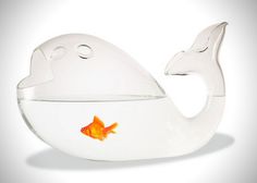 a goldfish in a bowl on a white background