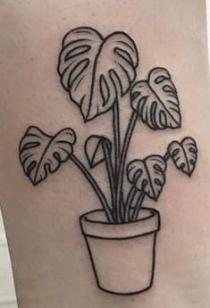 a black and white photo of a plant in a pot on the side of a woman's leg