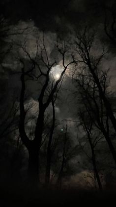 the moon is shining through the dark trees