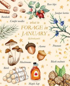 an illustration of what to eat for the holiday season in january and maple syrups