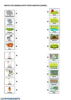 animals and their habitats worksheet