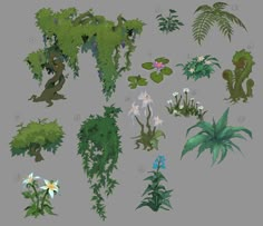 an assortment of plants and flowers on a gray background