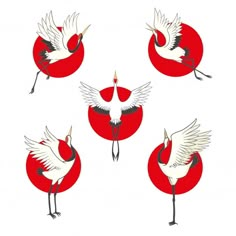 four red and white birds with wings spread out in the air, on a white background