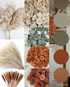 the collage shows different types of flowers and plants in orange, brown, green, white