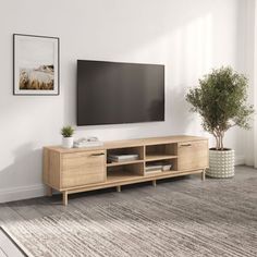 a living room with a large flat screen tv on the wall and a potted plant next to it