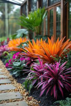 an assortment of colorful plants in a garden