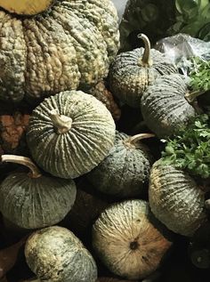 an assortment of vegetables including squash and cucumbers