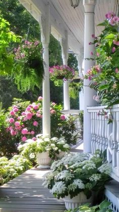 the porch is lined with potted plants and flowers