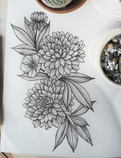 a drawing of flowers on paper next to a potted succulent and some rocks