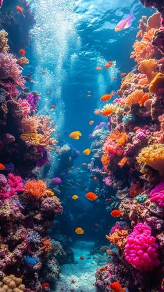 an underwater view of corals and fish in the ocean with sunlight coming through them