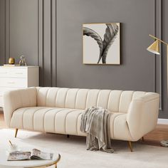 a living room scene with focus on the sofa