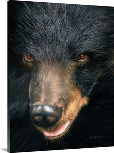 a close up of a black bear's face with brown and tan fur on it