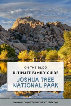 joshua tree national park with the text on the blog ultimate family guide