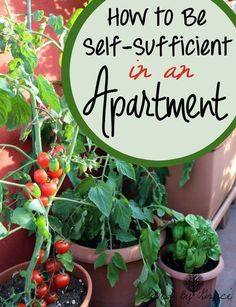 several potted plants with the words how to be self - sufficient in an apartment