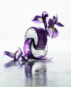 Bvlgari Omnia Amethyste, Omnia Amethyste, Bvlgari Fragrance, Bvlgari Omnia, Rose Gardens, Fragrance Samples, Iris Garden, Force Of Nature