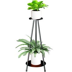 a plant stand with two potted plants on top and one in the middle, against a white background